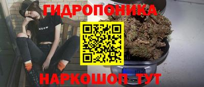 каннабис Будённовск